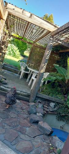 a wooden pergola with a bench in a garden at Haley's cabin in Tauranga