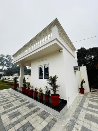 a white house with plants inront of it at Nirvana Lawn in Lucknow