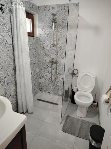 a bathroom with a shower with a toilet and a sink at Lake House Surduc in Fîrdea