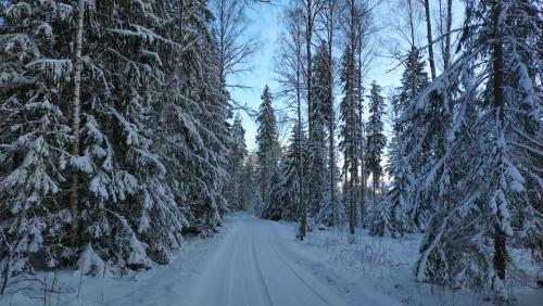 a snow covered road in a forest with trees at Jäägri Saunamaja in Parksi