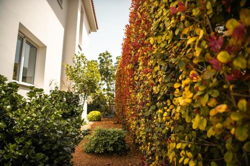 Κήπος έξω από το Jupiter Villa