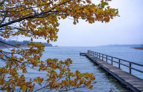 a dock on a body of water with a tree at 194 Fewo Dat LütjeHuus mit Dachterrasse im ersten Stock in Lütjenburg