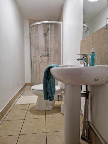 a bathroom with a sink and a shower and a toilet at Large Victorian Townhouse in Buxton