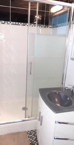 une salle de bain avec douche et lavabo dans l'établissement Studio Village Naturiste Baby Doll, au Cap d'Agde