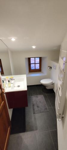 une salle de bain avec un lavabo et des toilettes dans l'établissement Studio indépendant contre la Cathedrale, au Puy-en-Velay