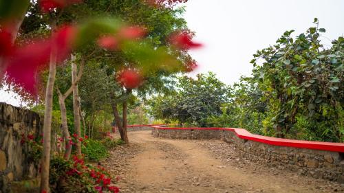 a dirt road with a red fence and trees and flowers at Guldaar Sariska - A luxury Forest Resort in Tehla