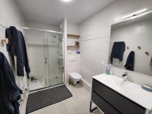 une salle de bain avec une douche, un lavabo et des toilettes dans l'établissement AURON Appartement 2 pièces vue panoramique, à Saint-Étienne-de-Tinée