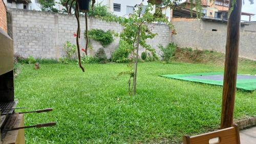 a small tree in the middle of a yard at Casa das Plantas in Gravatal