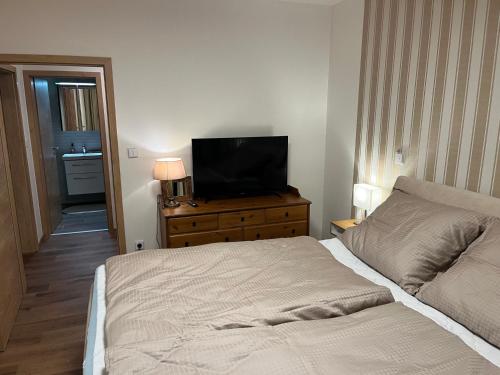 Postel nebo postele na pokoji v ubytování Apartmán Hruška Černý Důl