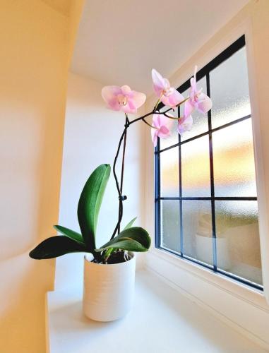 a potted plant sitting on a window sill at Wordsworth - Peaceful Place in Bournemouth