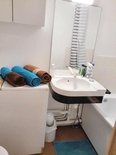 une salle de bain avec un lavabo et un miroir dans l'établissement Charmant appartement avec loggia à Saint-Hilaire-de-Riez - 18 m², à Saint-Hilaire-de-Riez