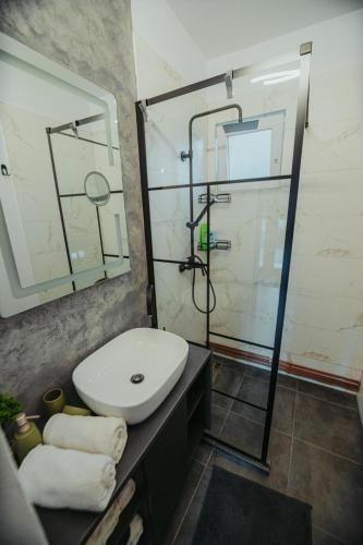 a bathroom with a sink and a glass shower at Kenzo Chalet in Porumbacu de Sus