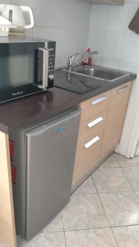 une cuisine avec un évier et un micro-ondes dans l'établissement Très Centrale studio mais aux calme!, à Nice