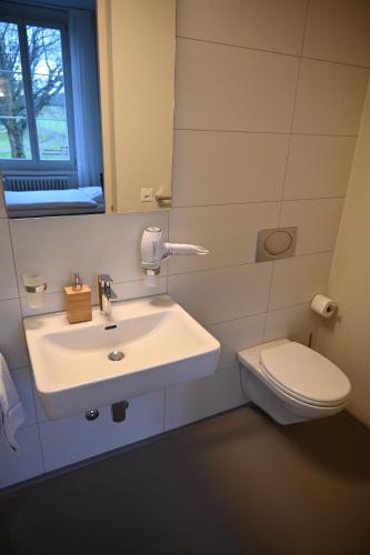 a bathroom with a sink and a toilet at Landguet Ried - Center for mindful living in Bümpliz