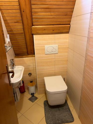 a small bathroom with a toilet and a sink at CASA NATURA - charming chalet with hot tub in Tuk Vojni