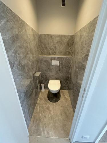 La salle de bains est pourvue d'une douche et de toilettes blanches. dans l'établissement Résidence Les Tilleuls, à Juan-les-Pins