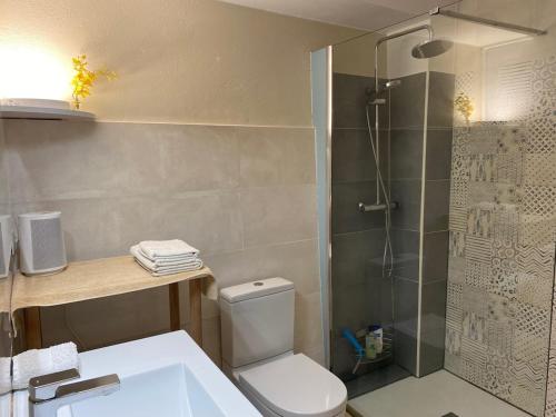 une salle de bain avec une douche, des toilettes et un lavabo dans l'établissement Maillol Les 3 gîtes joli jardin calme ancien T1, à Dorres