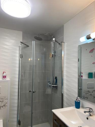 une salle de bain avec douche et lavabo dans l'établissement Okaido Les 3 gîtes vue montagne jardin ancien T3, à Dorres