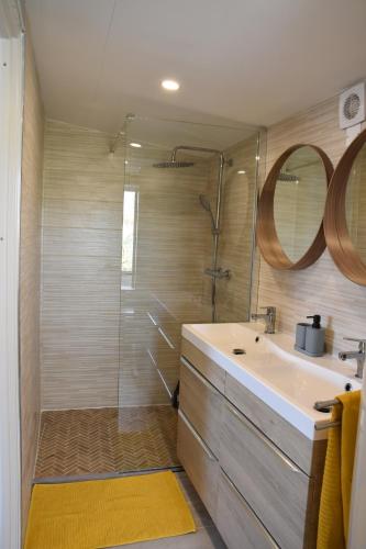 a bathroom with a sink and a shower at Refuge du Château avec terrace in Manom