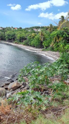 una playa con rocas y plantas en la costa en Appartement confortable à Pointe-Noire 35 m² vue mer, en Pointe-Noire
