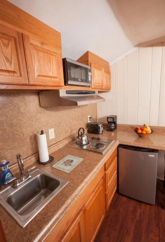 a small kitchen with a sink and a microwave at Knotty Pine Motel in Bennington