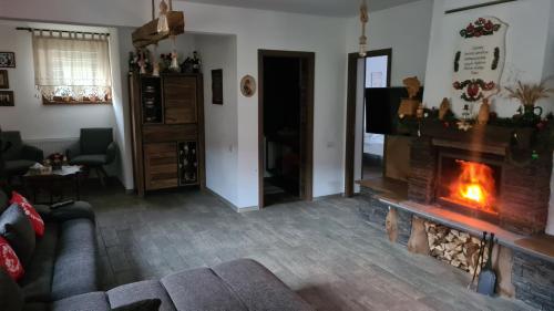 Ruang duduk di Rustic Dreams-Dobolii de Sus