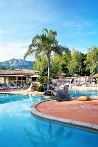 - une piscine avec un palmier et des chaises dans l'établissement Résidence Les Castors, à Calvi