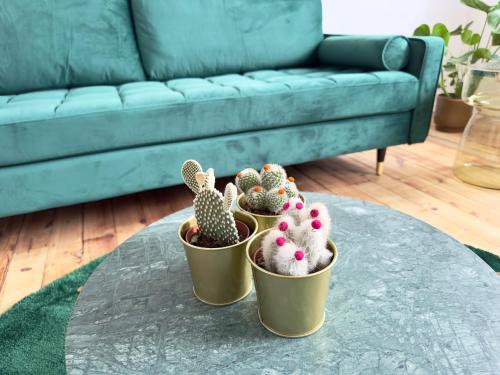 three cacti in pots on a table in a living room at Möbliert-nahe STARLIGHT EXPRESS in Bochum -WLAN-Netflix-Loggia oder Terrasse in Bochum