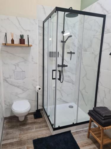 a bathroom with a glass shower with a toilet at Gîte au coeur des vignes, jacuzzi et sauna privés in Pujols-sur-Ciron