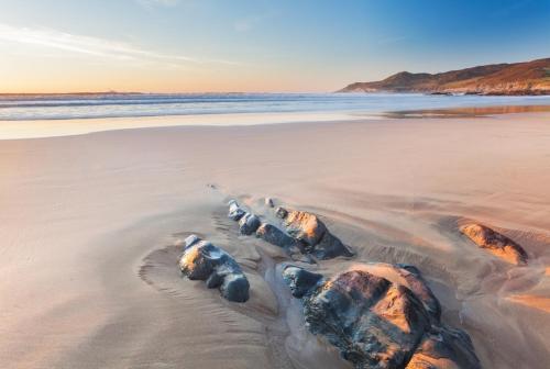 a group of rocks in the sand on a beach at The West Wing in Barnstaple
