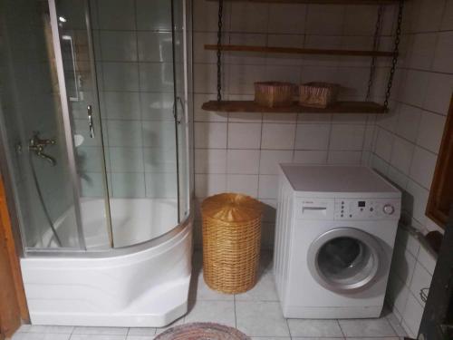 a shower and a washing machine in a bathroom at Kikepera Alamaja in Parnumaa