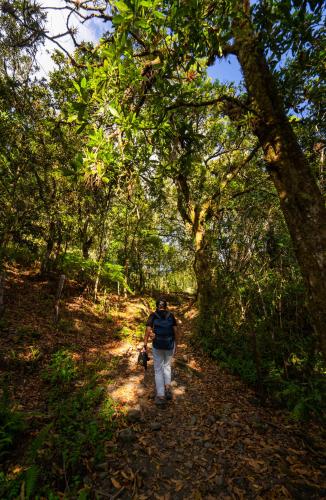 a person walking down a trail with a dog at Posada Las Montañas del Edén in Ubalá