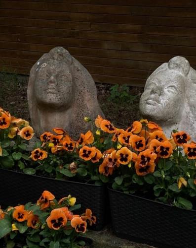 Gambar di galeri bagi Viesu māja Laimiņi di Engure