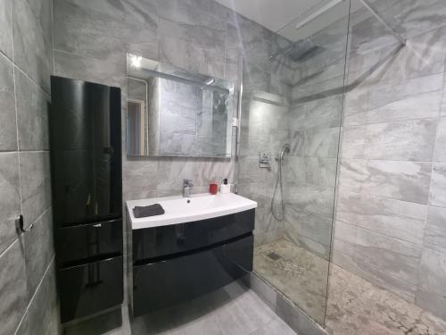 une salle de bain avec un lavabo et une douche dans l'établissement 1 avenue maurice blondel - T4 centre-ville, à Aix-en-Provence