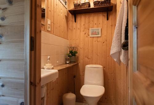 a bathroom with a toilet and a sink at Ireneborg, cottage with Finnish sauna in Svedja