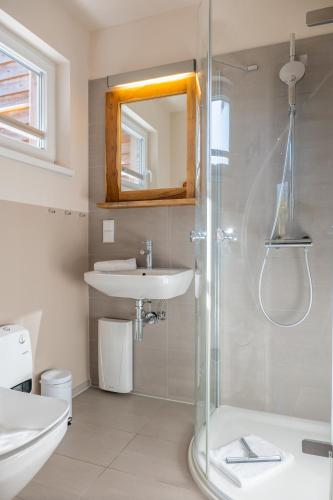 a bathroom with a shower and a sink and a mirror at Typ C2 Mini Lodge - Kalama Beach Park 1 in Pelzerhaken