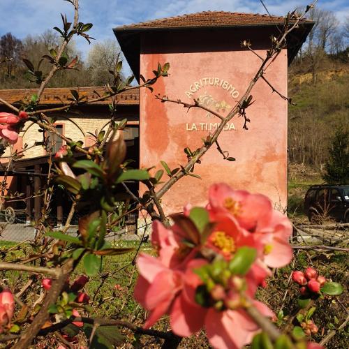 a sign for a wine cellar with pink flowers at Agriturismo La.Ti.Mi.Da. in Cassine