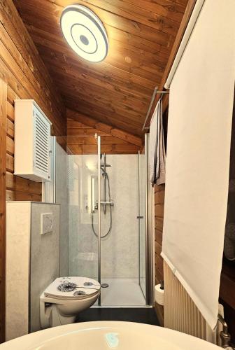 a bathroom with a shower and a toilet and a sink at Ferienhaus Neckar 55 in Hayingen