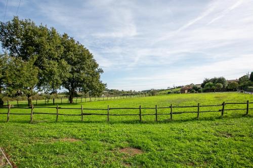 Paisaje cerca de este agroturismo