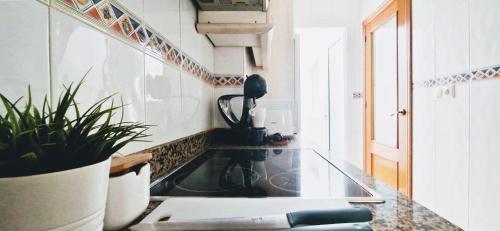 a kitchen with a glass counter top with a plant at Apto Familiar en Alicante, 4 Pax, 3 Camas, 2 Baños in Elche