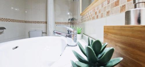 a bathroom with a sink and a potted plant at Apto Familiar en Alicante, 4 Pax, 3 Camas, 2 Baños in Elche