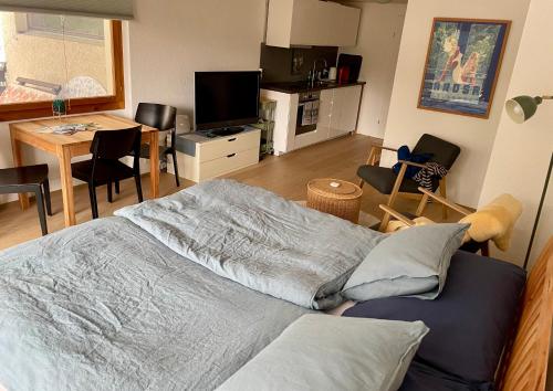 TV a/nebo společenská místnost v ubytování Casa Marlenca EG
