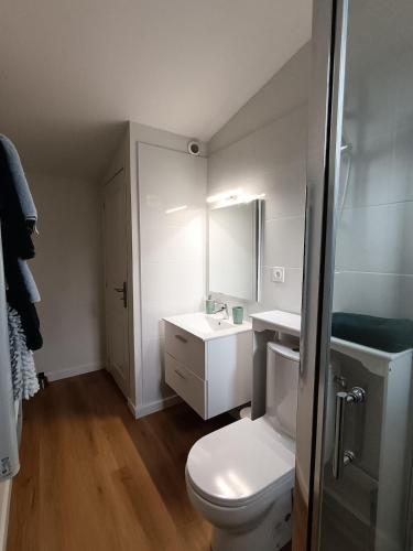 une salle de bain avec des toilettes blanches et un lavabo dans l'établissement LA FALAISE - Quiet T3 apartment with private parking, à Caucalières