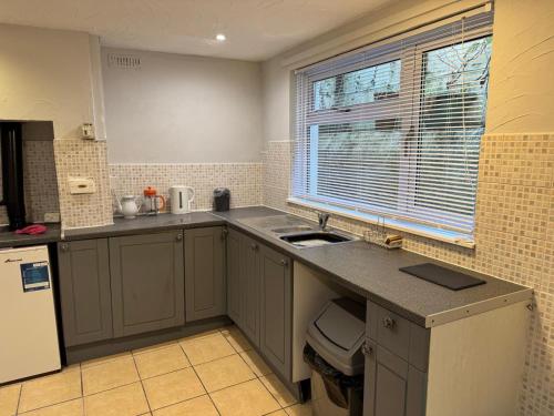 eine Küche mit Spüle und Fenster in der Unterkunft Lleine in Llandysul