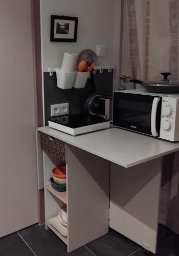 un four micro-ondes sur un comptoir dans une cuisine dans l'établissement Dunloe Chambre & Terrasse chez l'habitant avec borne recharge électrique, à Chantemerle-lès-Grignan