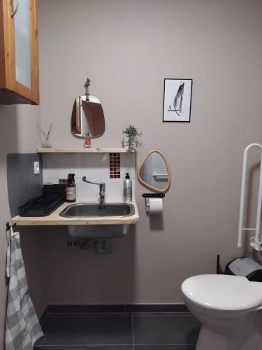 une salle de bain avec un lavabo et des toilettes dans l'établissement Dunloe Chambre & Terrasse chez l'habitant avec borne recharge électrique, à Chantemerle-lès-Grignan