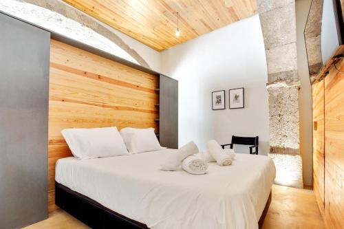 Architect Design Loft 18 Century