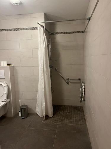 une salle de bain avec douche et toilettes dans l'établissement Studio 25m2 tout équipé Eauze, à Eauze