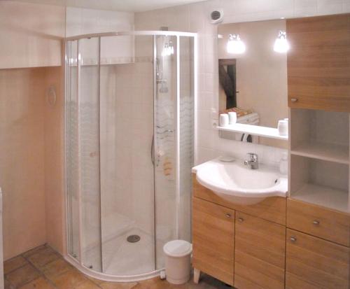 a bathroom with a shower and a sink at Maison familiale paisible proche de Braslou + jardin spacieux in Braslou
