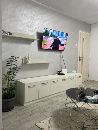a living room with a flat screen tv on the wall at Cazare Ostrov in Ostrov